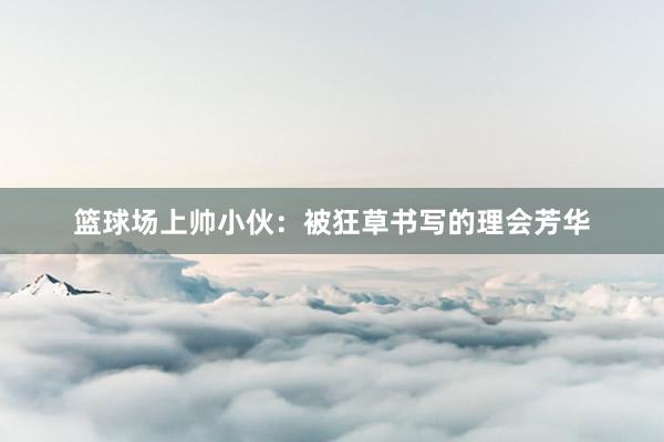 篮球场上帅小伙：被狂草书写的理会芳华